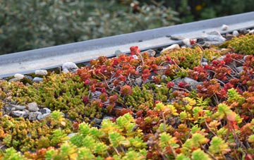 the cost of Worksop green roof installation
