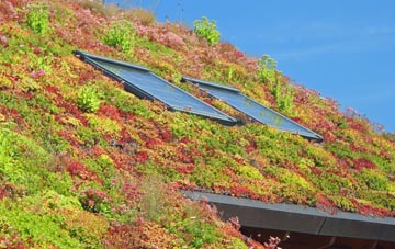 Worksop living roof systems