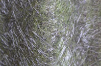 Worksop fibreglass roof work